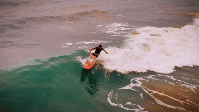 Palomino Surf
